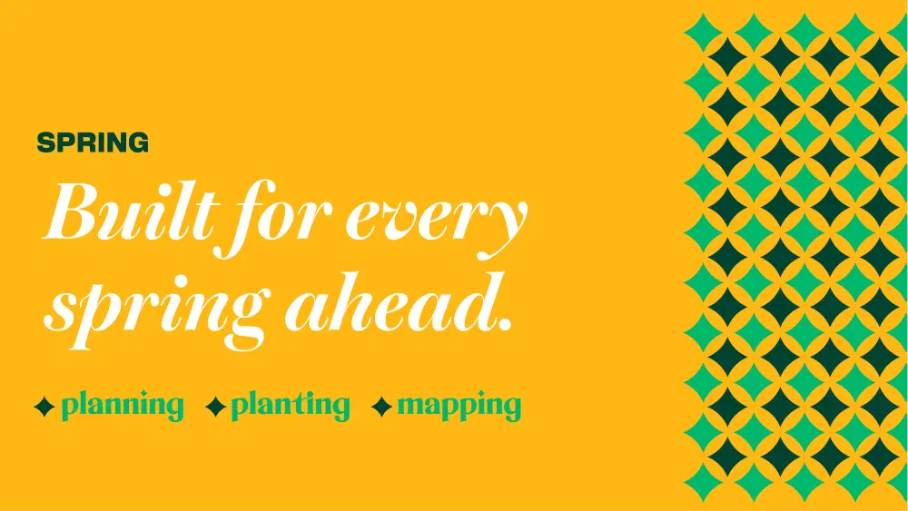 Spring — built for every spring ahead