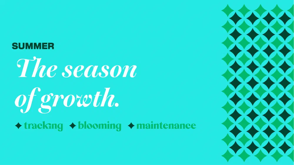 Summer — the season of growth
